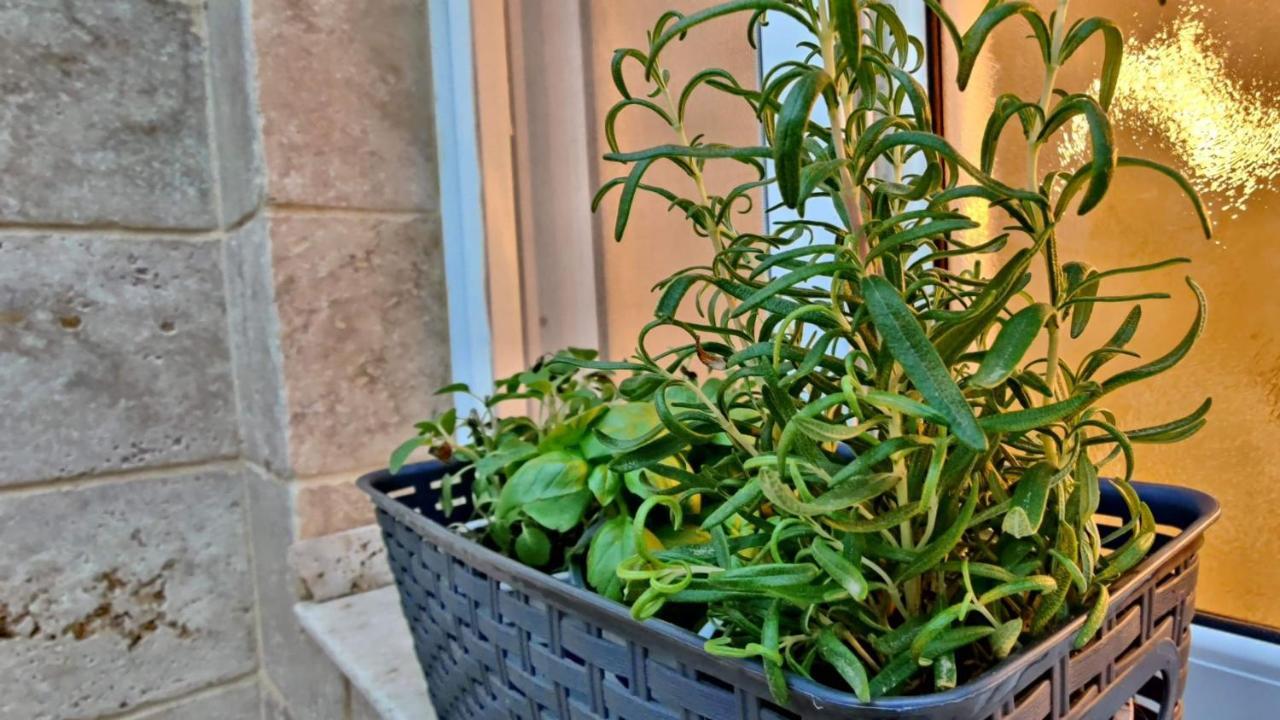 Primrose Boutique Apartment Ashdod Esterno foto